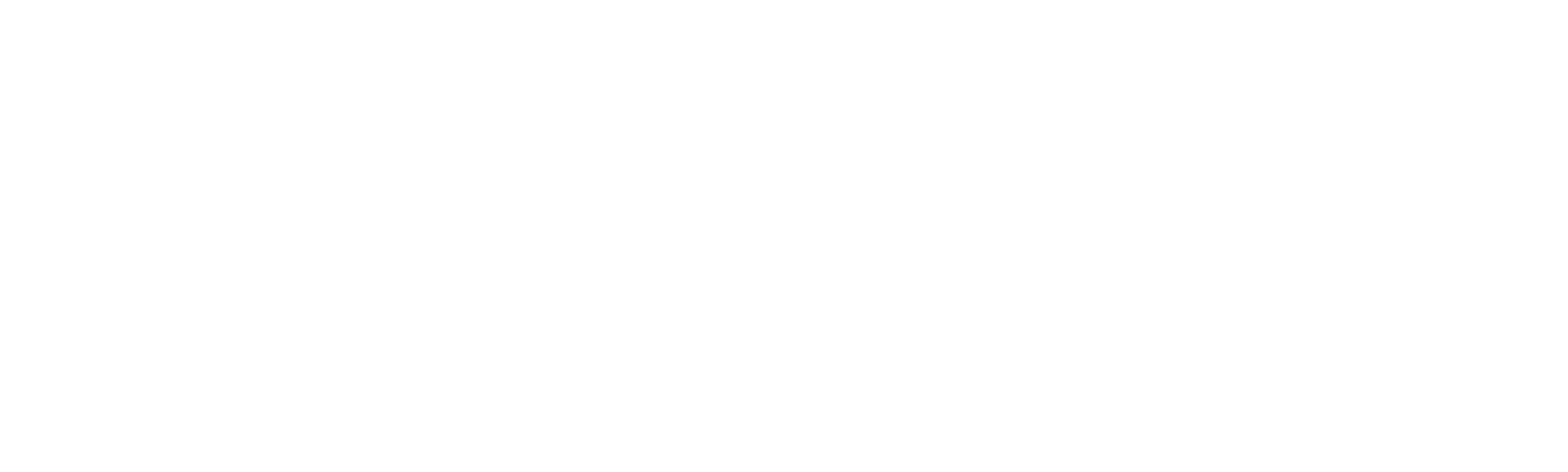 WV_Zoom_White